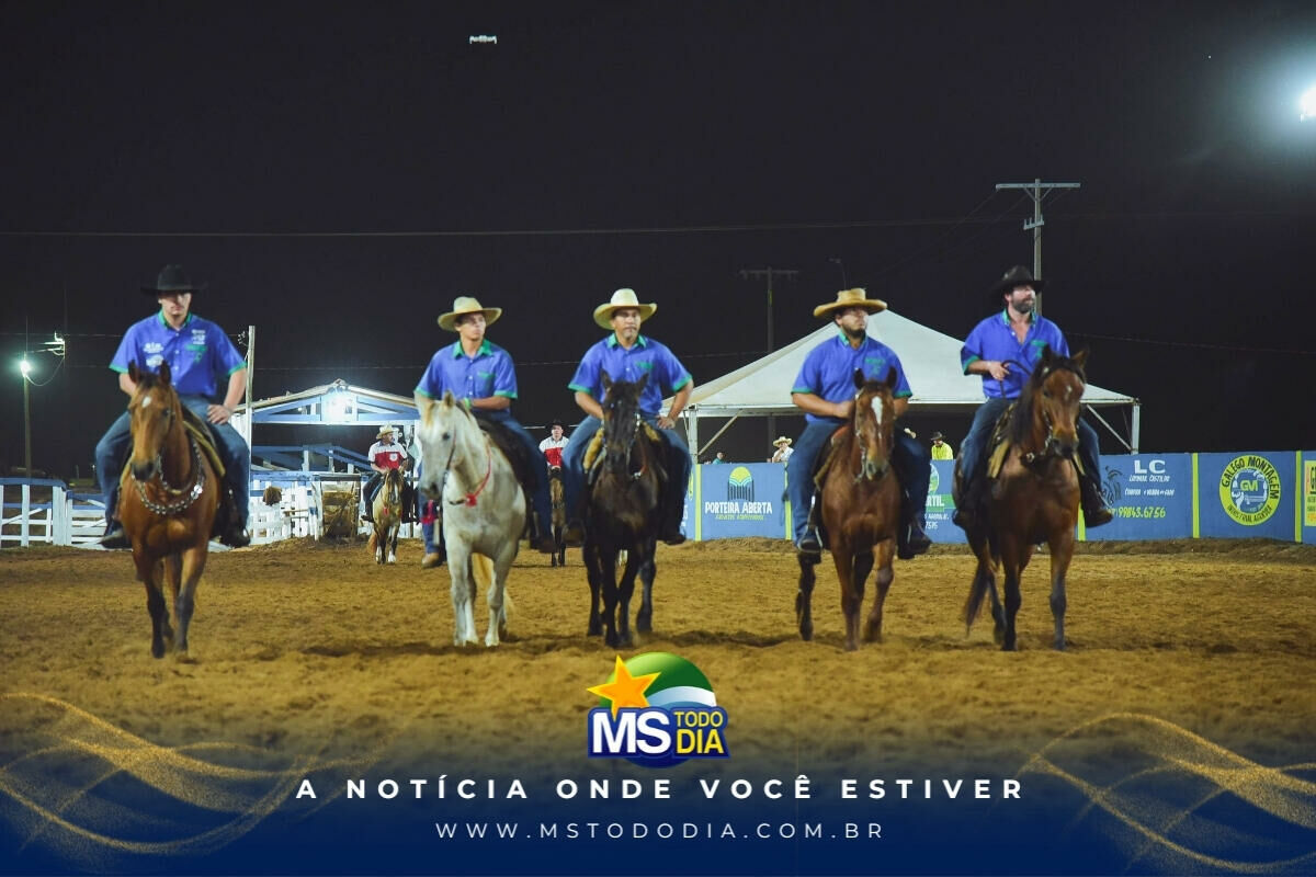 Imagem da Galeria
